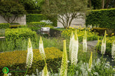 The Telegraph Garden The Chelsea Flower Show 2015