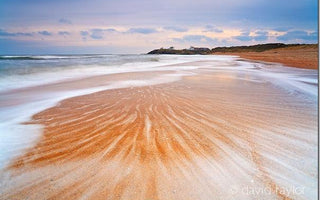 Weekend Assignment: Shooting an Ants-Eye-View