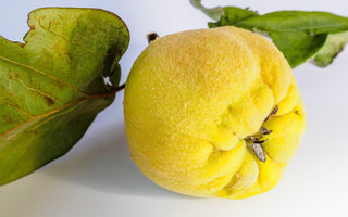 Quince