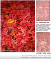 How to Compose a Photograph