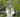 Looking Back at the Chelsea Flower Show: A New Chapter in Sustainable Gardening