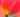 Spring Flowers For Colour Lovers