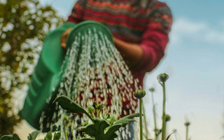Why Learning with Experts is Your Go-To Online Garden Course Destination