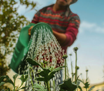Why Learning with Experts is Your Go-To Online Garden Course Destination