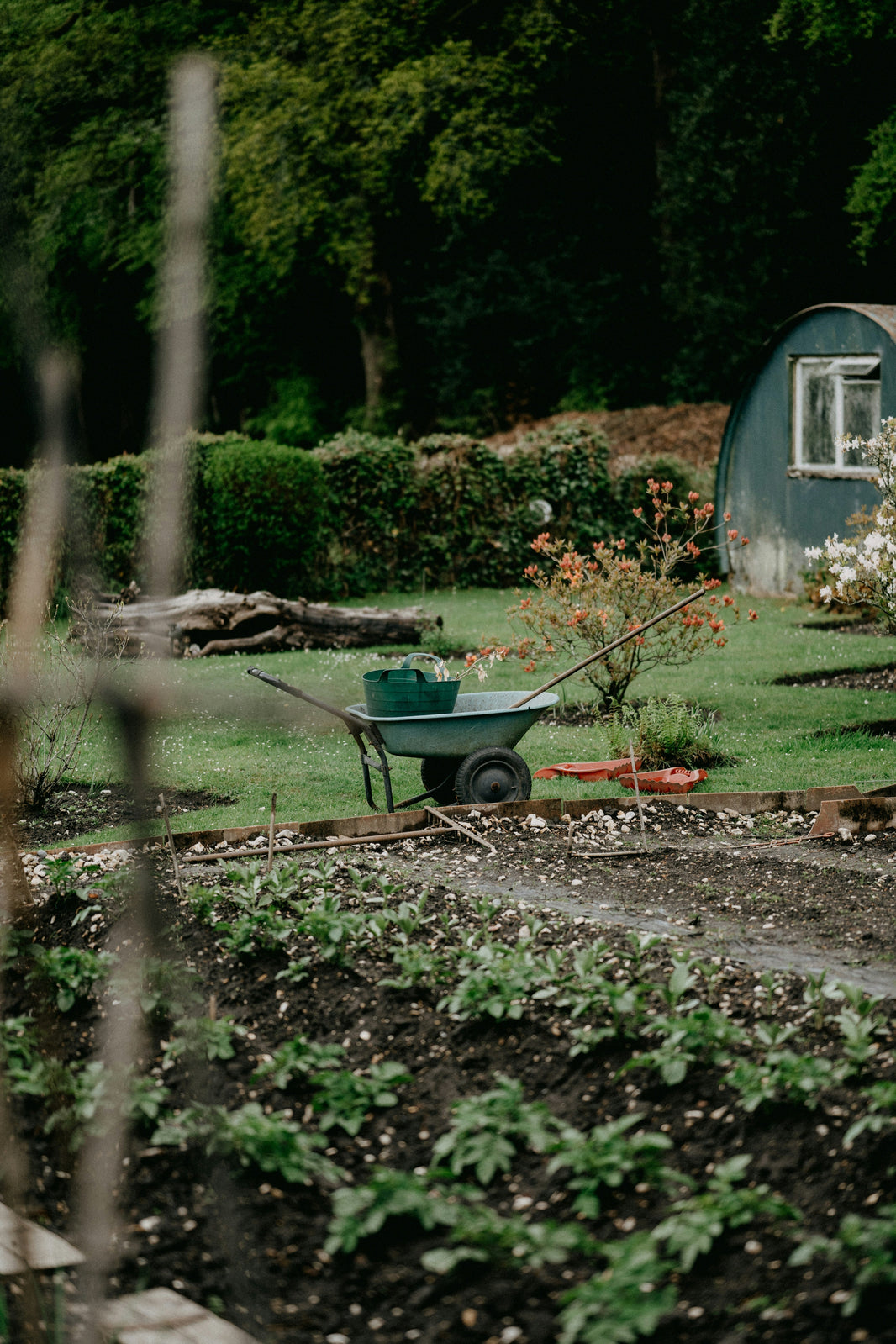 Why the RHS Level 2 Certificate is Your Gateway to a Thriving Horticulture Career