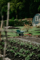 Why the RHS Level 2 Certificate is Your Gateway to a Thriving Horticulture Career