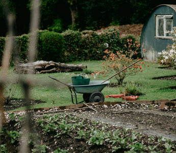 Why the RHS Level 2 Certificate is Your Gateway to a Thriving Horticulture Career