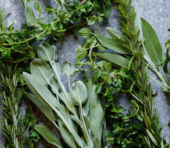 How to Freeze and Preserve Herbs in Olive Oil