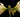 Light Up the Festive Season Now: Plant Indoor Bulbs for Christmas