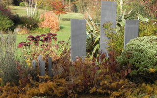 Andy's Adventures in Gardening