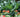 How to Condition & Feed Your Soil Organically
