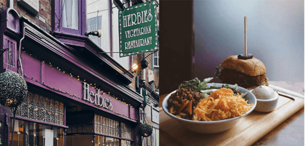 Eating Vegan Food Outside the Home – A Brave Adventure