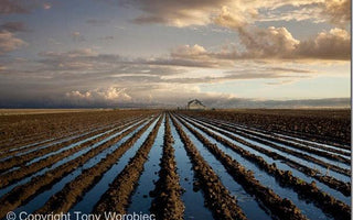 5 Composition Mistakes You Might Be Making Without Realising It