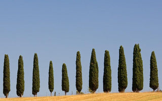 Landscape Photography: Looking for Abstract Patterns in Nature