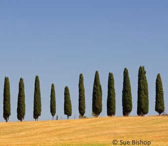 Landscape Photography: Looking for Abstract Patterns in Nature