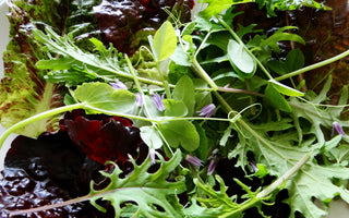 10 Best Culinary Salad Leaves To Grow