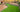 The Pros & Cons of Artificial Grass