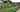 Vegetable Gardening: Understanding Crop Rotation
