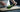 Courgettes
