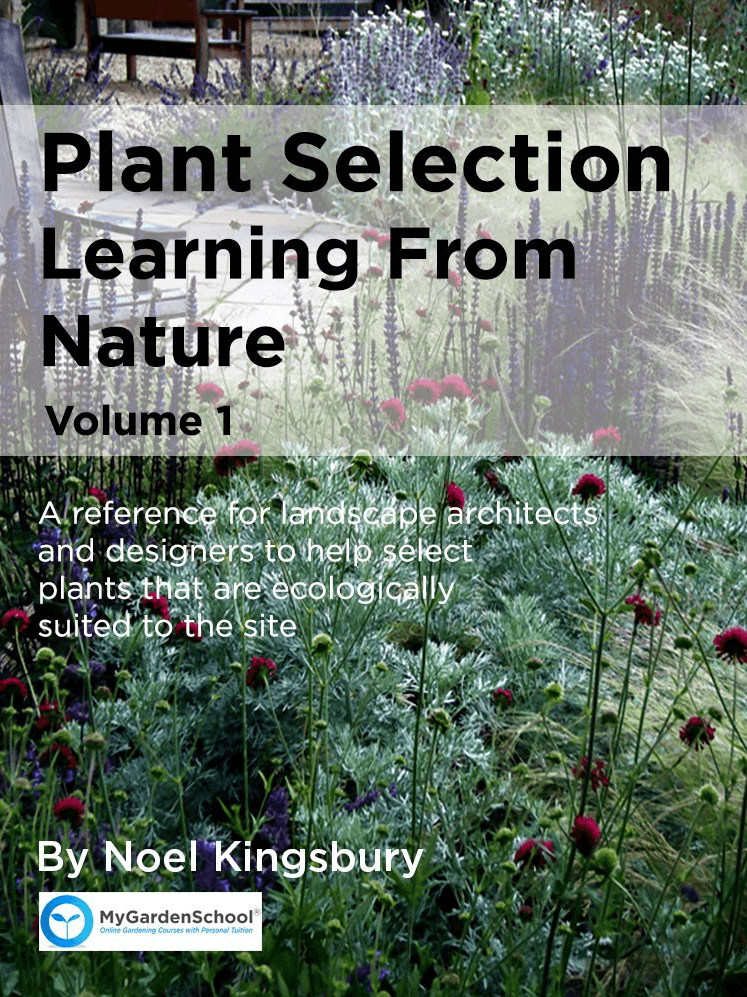 PRESS RELEASE: MYGARDENSCHOOL FIRST E-BOOK WITH TUTOR DR NOEL KINGSBURY