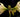 Amazing Amaryllis Bulbs - Getting your amaryllis to rebloom