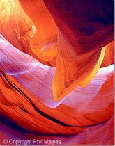 Mastering White Balance for Better Photos