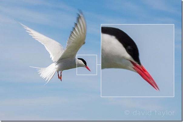 5 Common Photographic Mistakes to Avoid