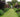 Hidcote Manor Gardens; A visit to an Arts and Crafts English Garden