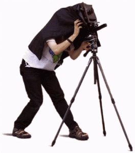 What DSLR Camera Should I Buy?