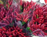 Christmas Floral decoration: what’s around?
