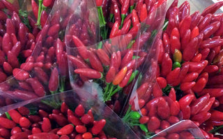 Christmas Floral decoration: what’s around?