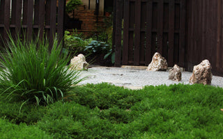 How to make a Japanese Garden