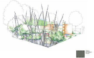 The Living Legacy Garden The Chelsea Flower Show 2015