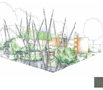 The Living Legacy Garden The Chelsea Flower Show 2015