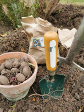 The joy of winter gardening