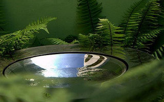 Planting in shade; a simple scheme for a shady garden