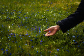 Garden Design Diploma online: Cultivate Your Passion, No Matter Your Age