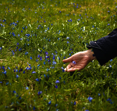 Garden Design Diploma online: Cultivate Your Passion, No Matter Your Age