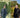 Explore the Art of Gardening with Piet Oudolf and Tom Stuart-Smith