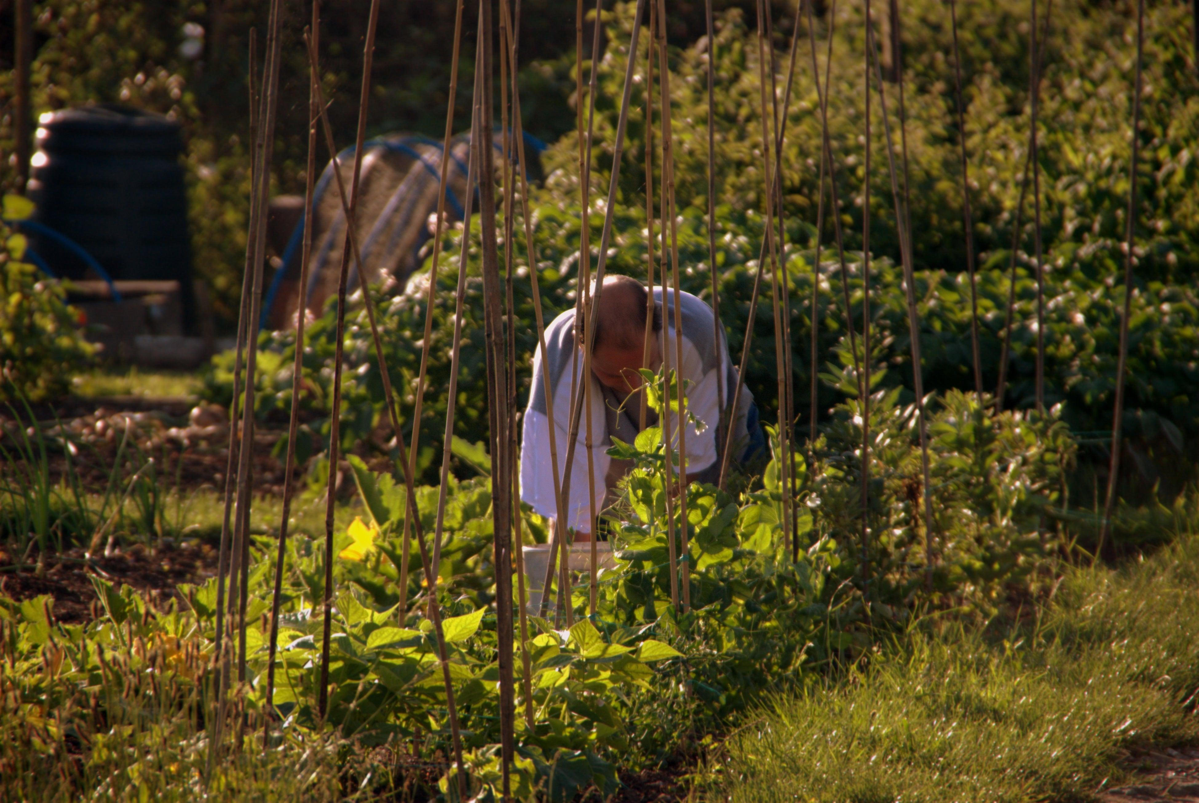 What Can I Plant in October