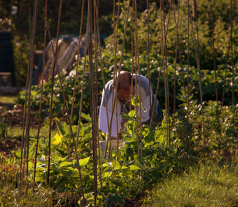 What Can I Plant in October