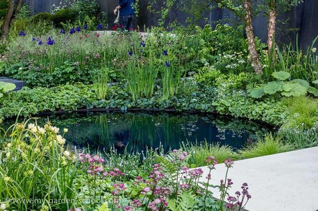 Chelsea Flower Show 2014:  No Man's Land by Charlotte Rowe