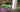 Late Summer: Time To Order Bulbs
