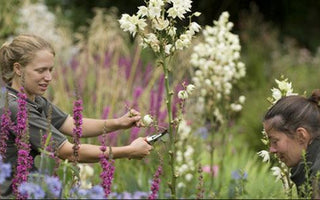 10 Reasons to Take an Online Gardening Course This September