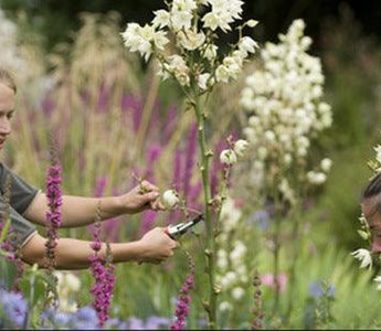 10 Reasons to Take an Online Gardening Course This September