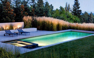 10 Swimming Pool Design Tips