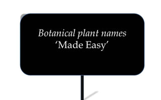 Speaking botanically &ndash; Understanding plant names part 2