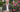 An indepth interview with Michael Marriott, David Austin Roses