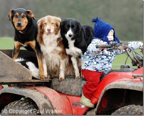 Fun New Ways to Shoot Children and Pets