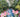 America's Best Botanical Gardens